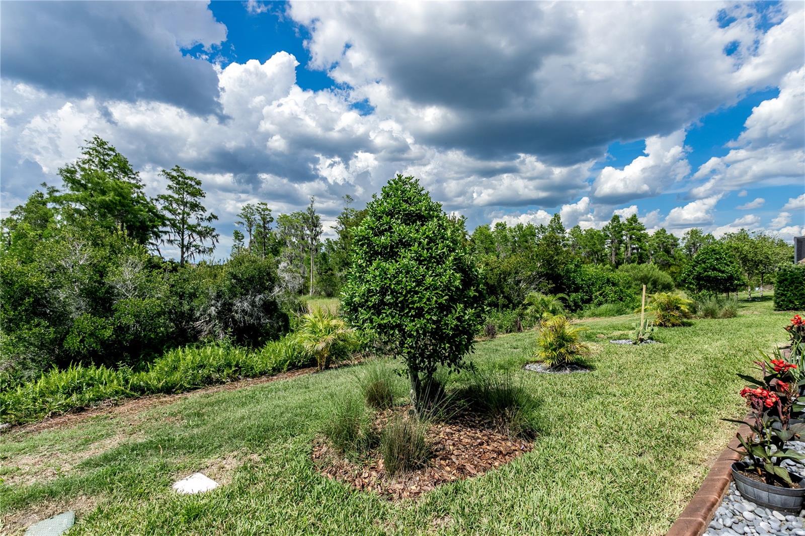 19133 SHIP WHEEL WAY, LAND O LAKES, FL, 34638
