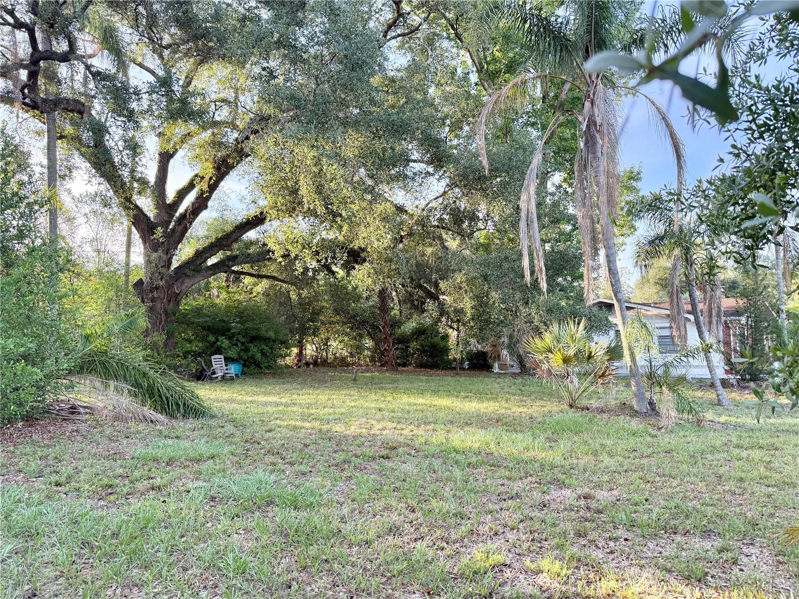 304 SPRINGDALE PLACE, TEMPLE TERRACE, FL, 33617