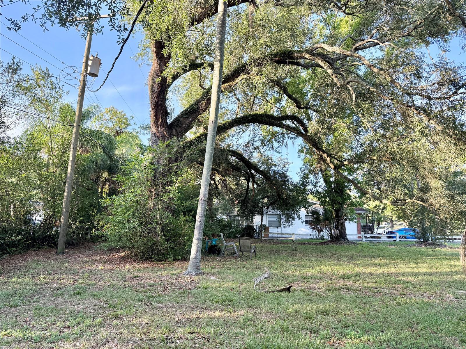304 SPRINGDALE PLACE, TEMPLE TERRACE, FL, 33617