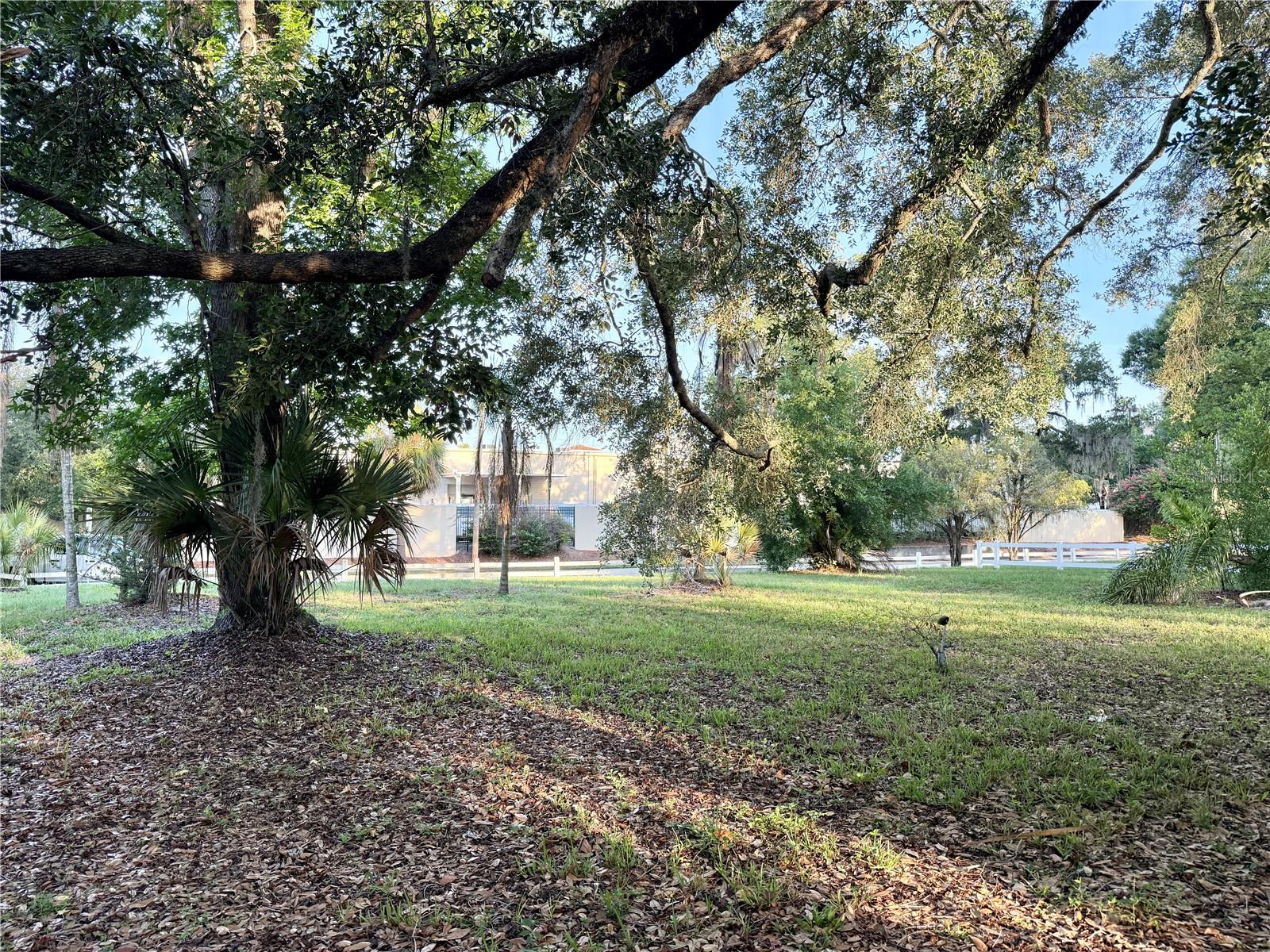 304 SPRINGDALE PLACE, TEMPLE TERRACE, FL, 33617