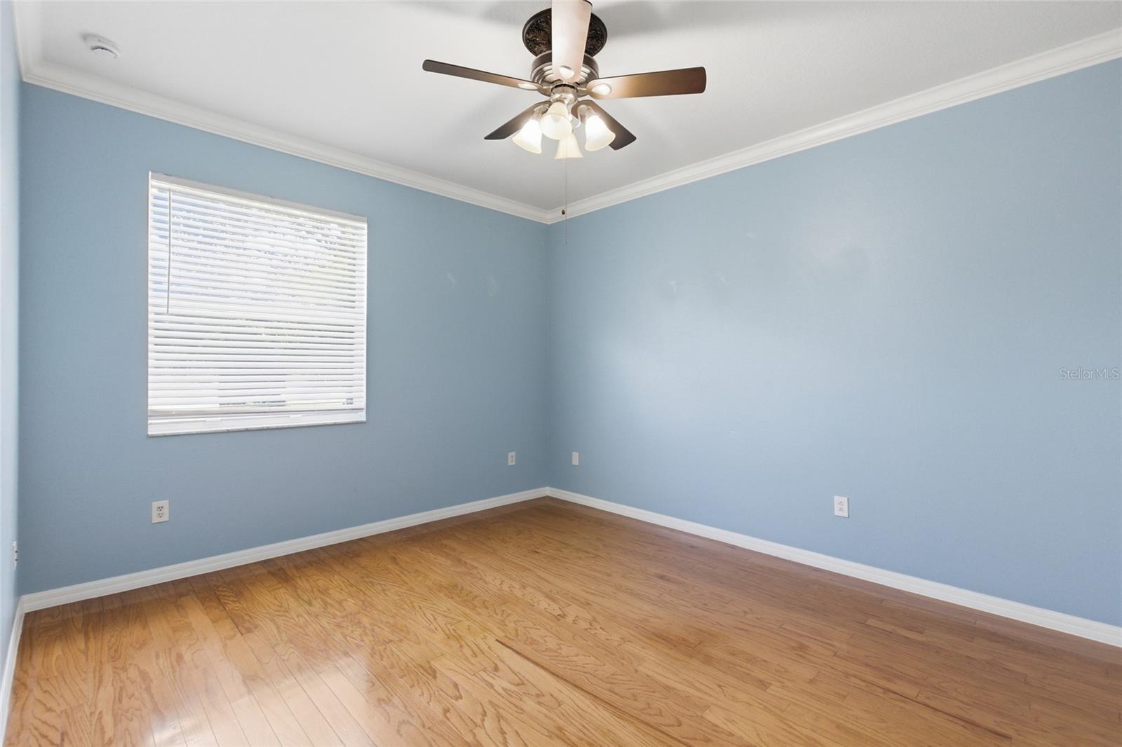 8309 OLD TOWN DR, TAMPA, FL, 33647