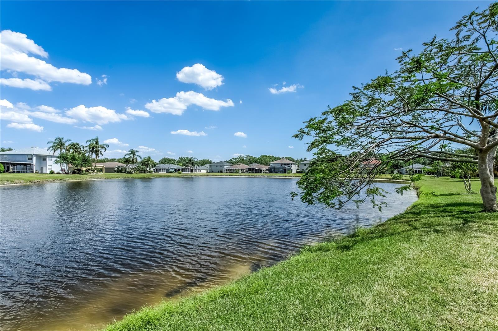 8518 TIDAL BAY LN, TAMPA, FL, 33635