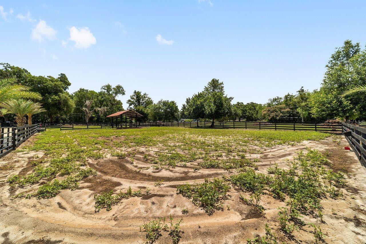 16392 NE JACKSONVILLE RD, CITRA, FL, 32113