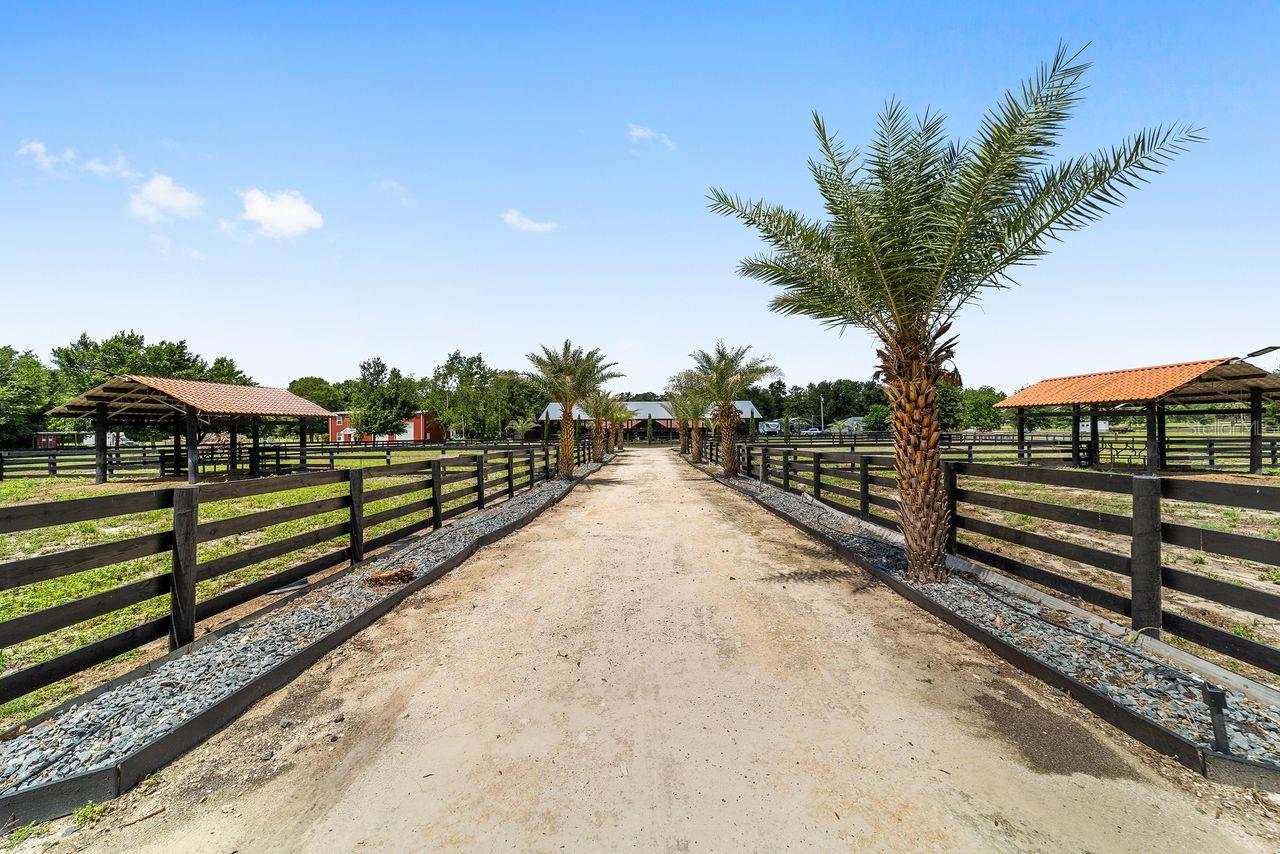 16392 NE JACKSONVILLE RD, CITRA, FL, 32113