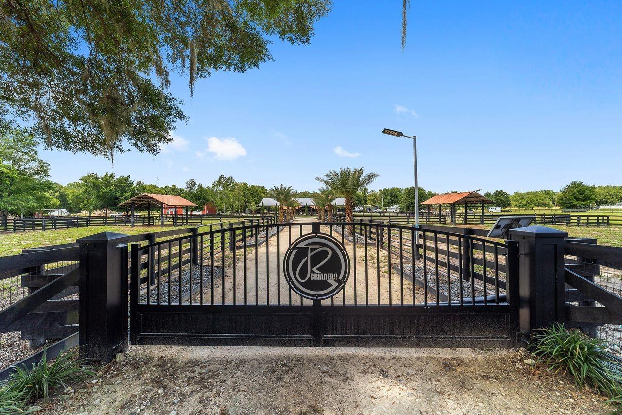 16392 NE JACKSONVILLE RD, CITRA, FL, 32113
