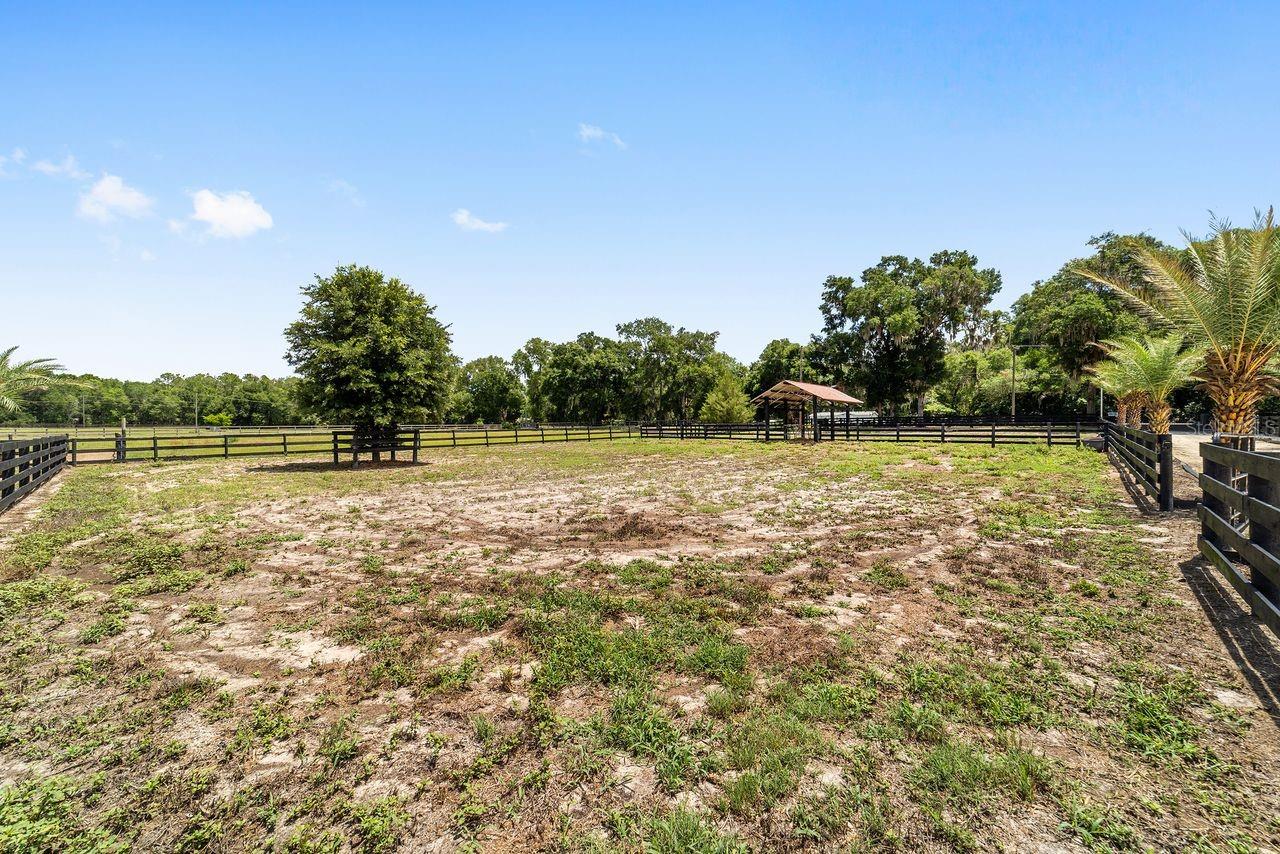 16392 NE JACKSONVILLE RD, CITRA, FL, 32113