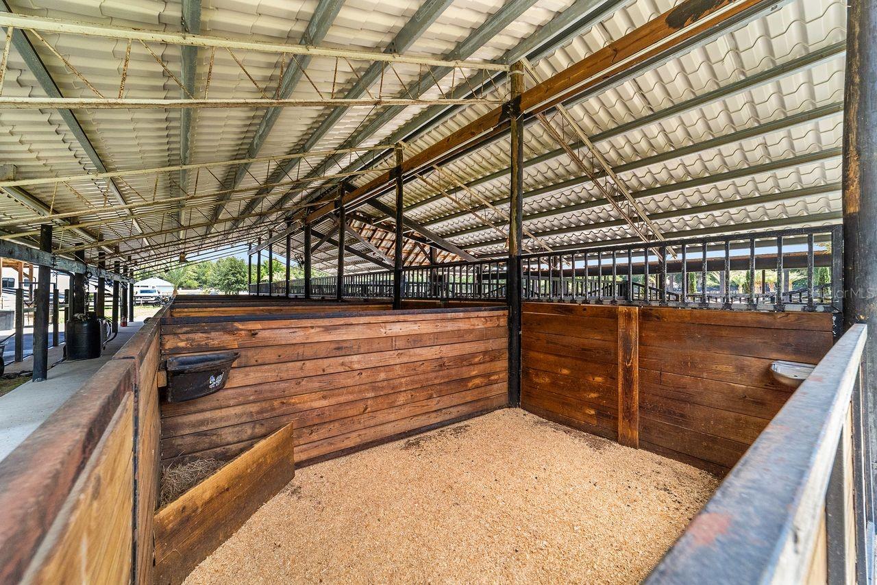 16392 NE JACKSONVILLE RD, CITRA, FL, 32113