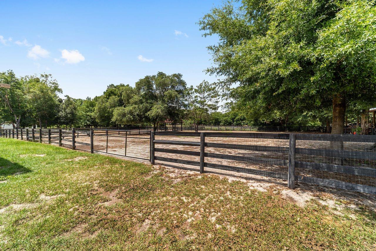 16392 NE JACKSONVILLE RD, CITRA, FL, 32113