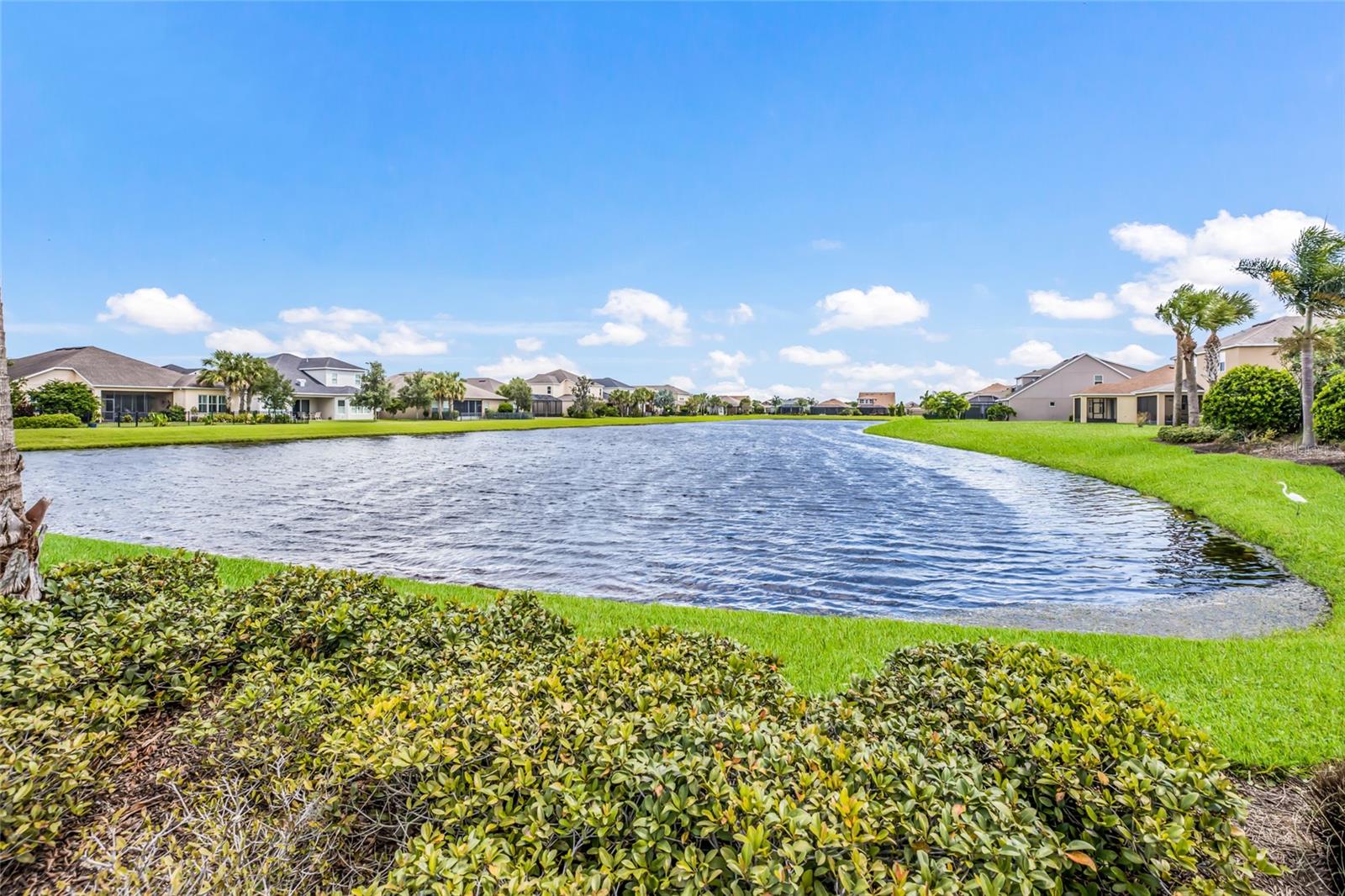 5815 ARBOR WOOD CT, BRADENTON, FL, 34203