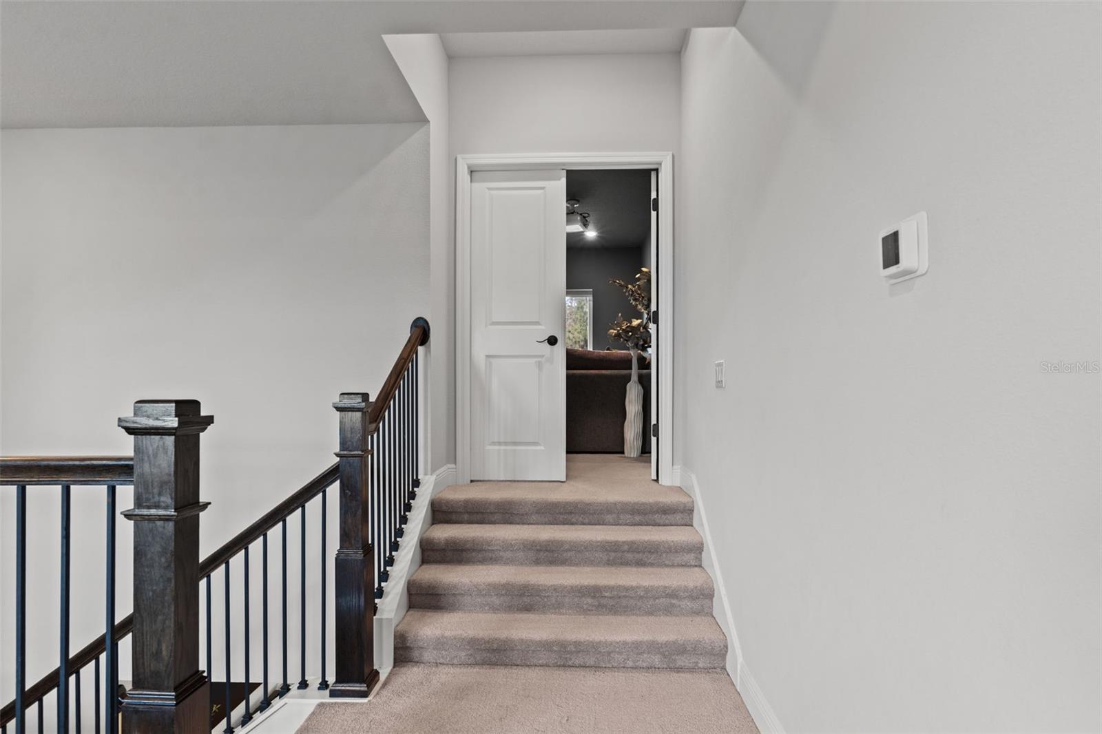 3497 TOUR TRCE, LAND O LAKES, FL, 34638