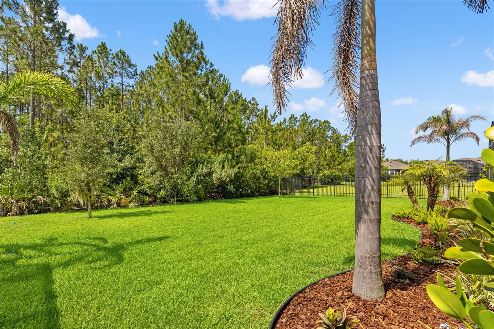 3497 TOUR TRCE, LAND O LAKES, FL, 34638