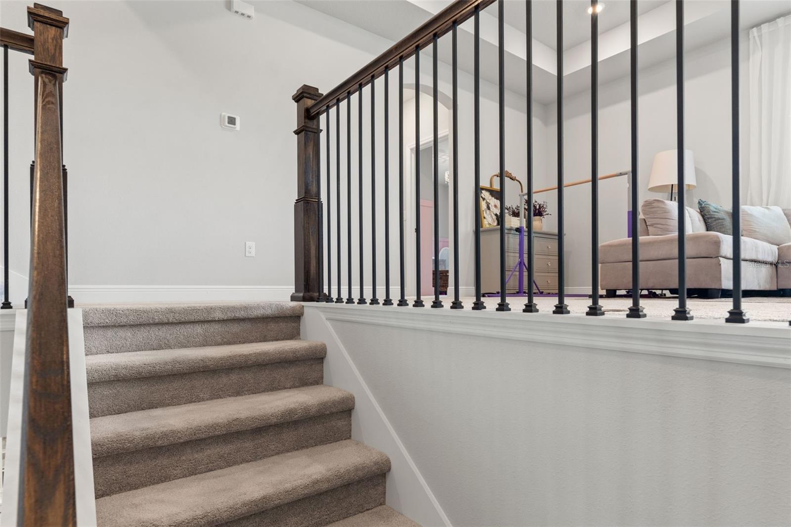 3497 TOUR TRCE, LAND O LAKES, FL, 34638