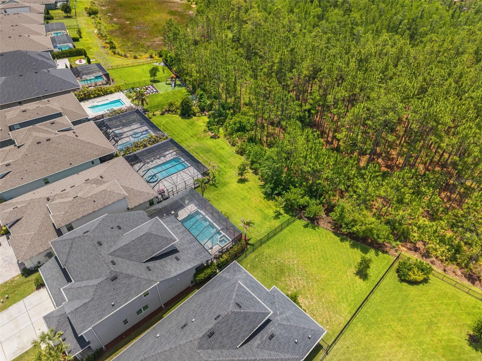 3497 TOUR TRCE, LAND O LAKES, FL, 34638