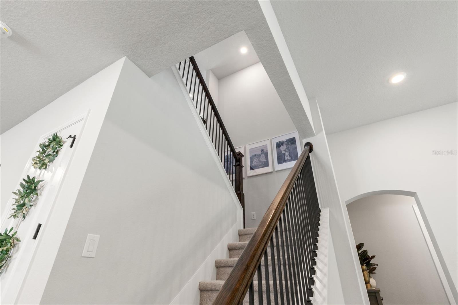 3497 TOUR TRCE, LAND O LAKES, FL, 34638