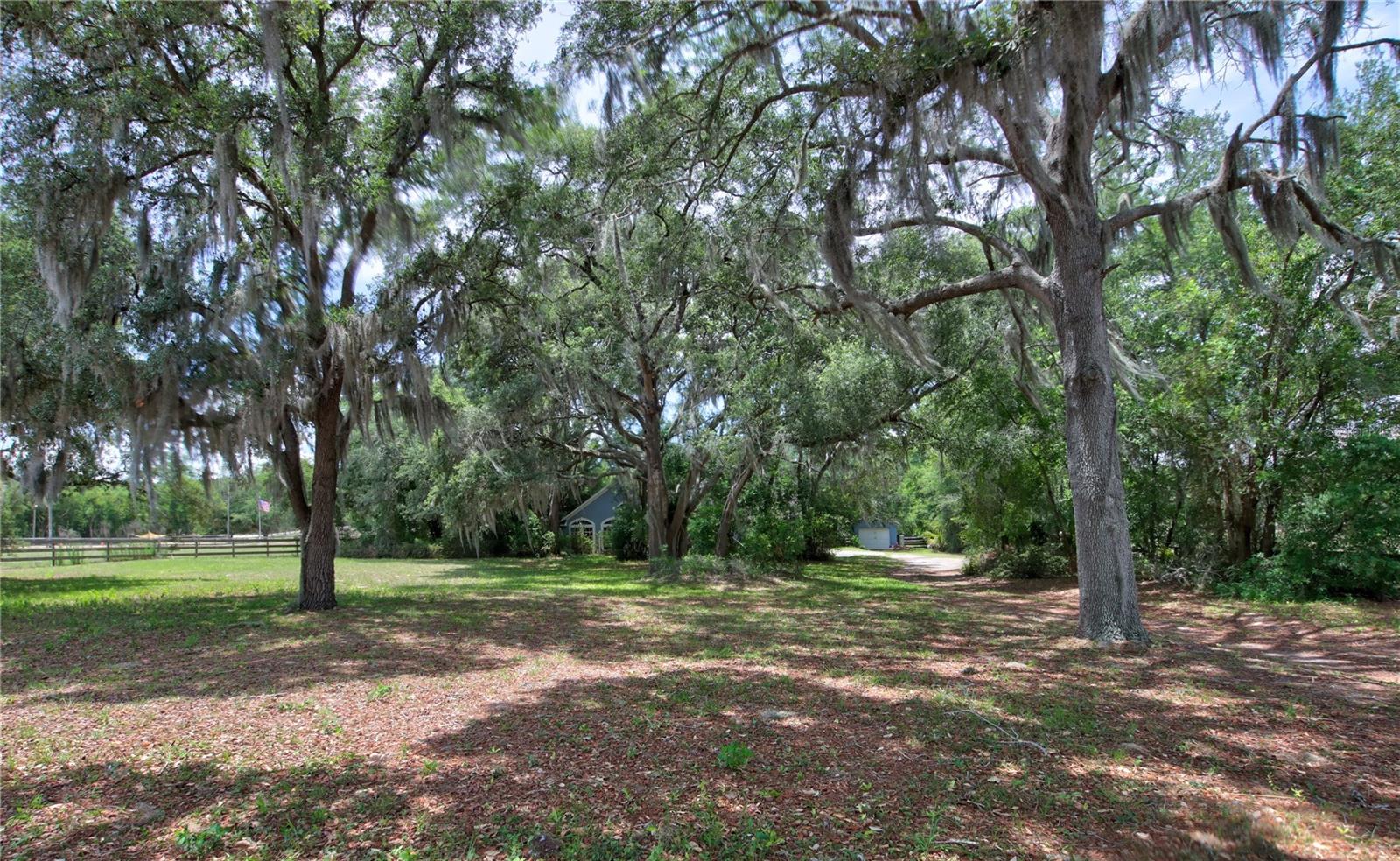34847 COUNTY ROAD 439, EUSTIS, FL, 32736