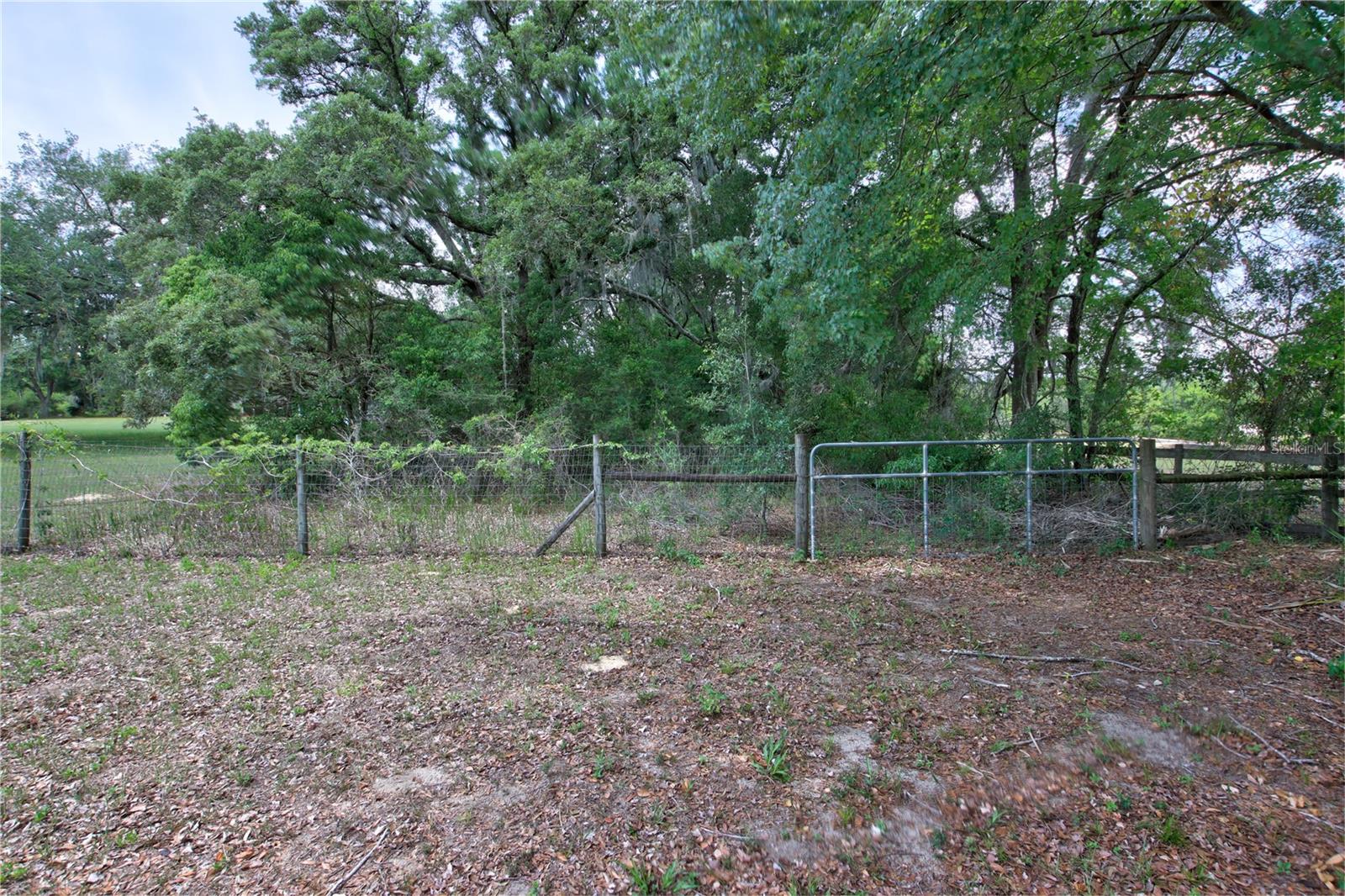 34847 COUNTY ROAD 439, EUSTIS, FL, 32736