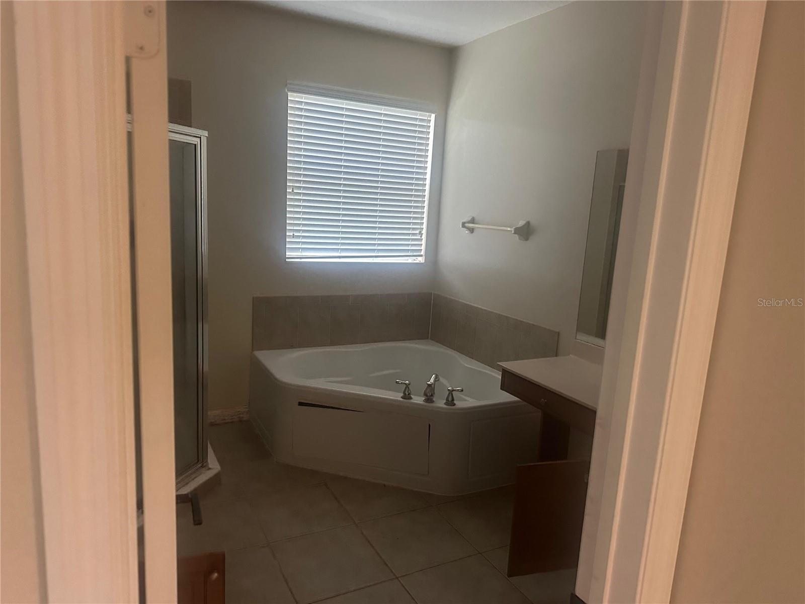 2981 MARSHFIELD PRESERVE WAY, KISSIMMEE, FL, 34746