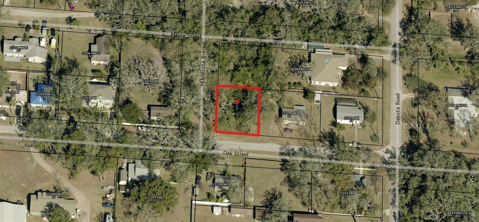 00 OAK, ODESSA, FL, 33556
