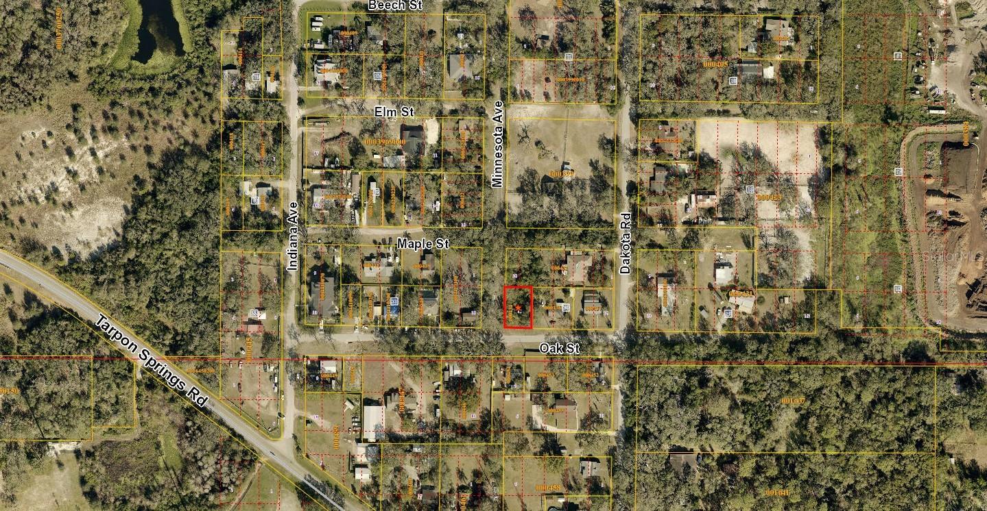 00 OAK, ODESSA, FL, 33556