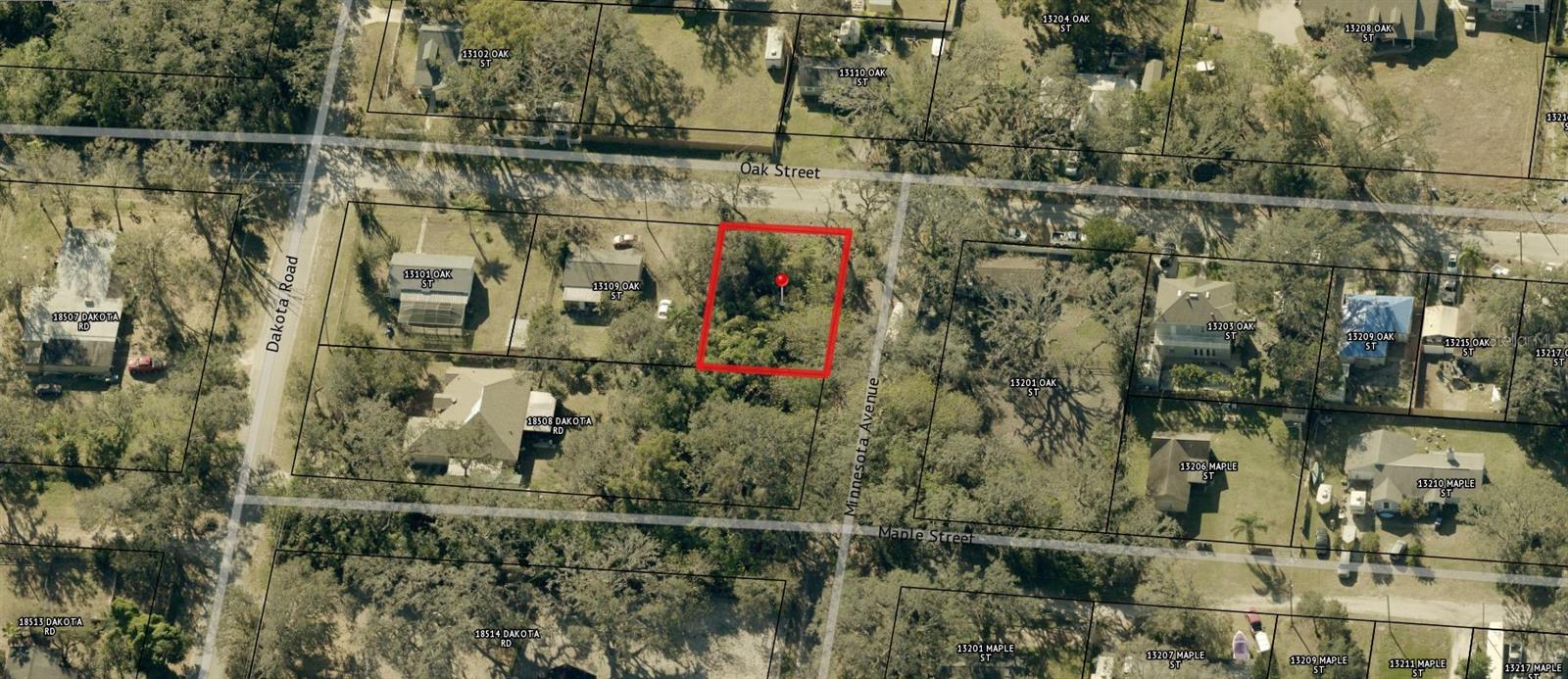 00 OAK, ODESSA, FL, 33556