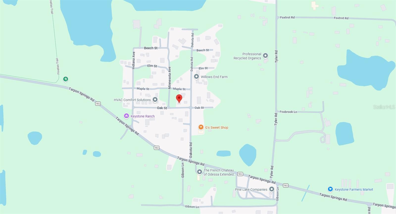 00 OAK, ODESSA, FL, 33556
