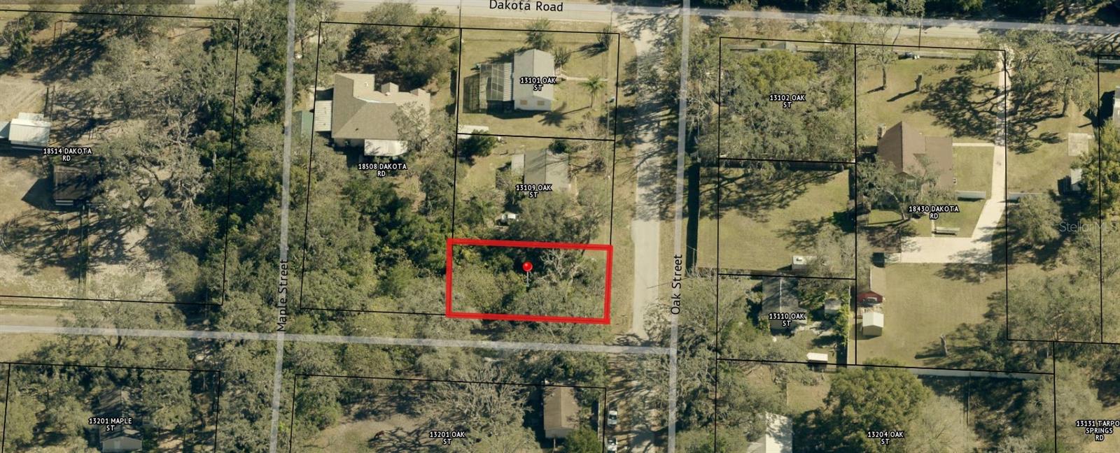 00 OAK, ODESSA, FL, 33556