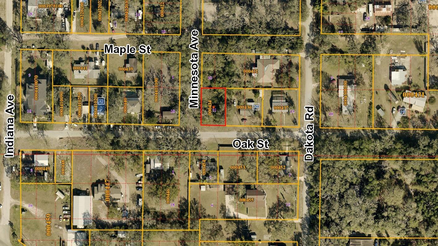 00 OAK, ODESSA, FL, 33556