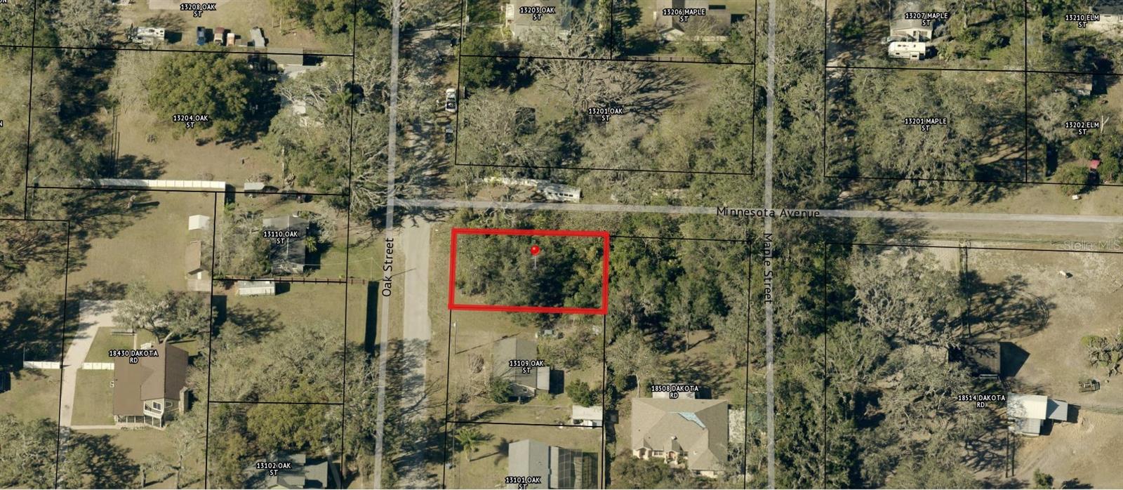 00 OAK, ODESSA, FL, 33556