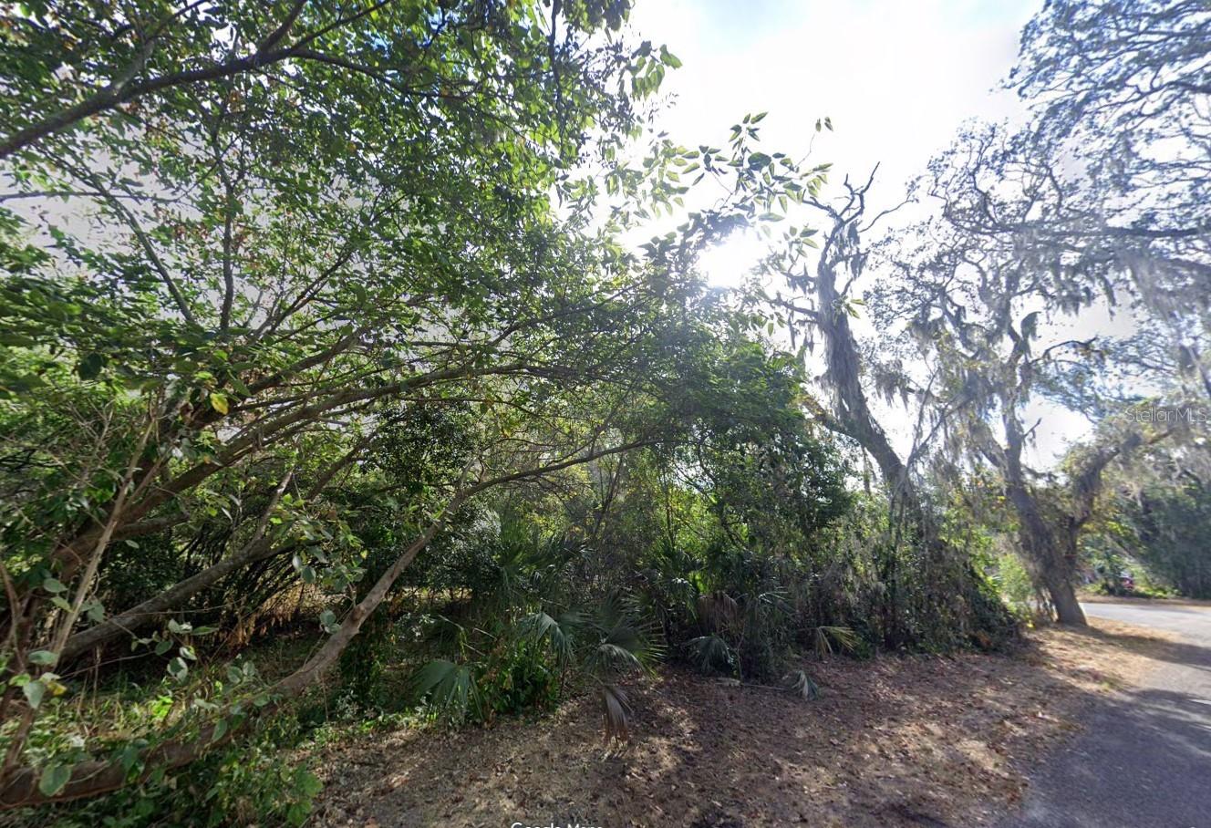 00 OAK, ODESSA, FL, 33556
