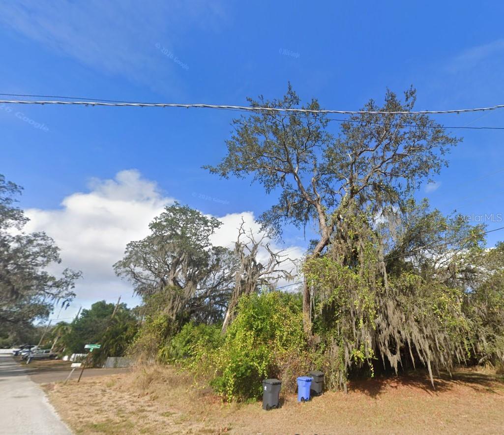 00 OAK, ODESSA, FL, 33556