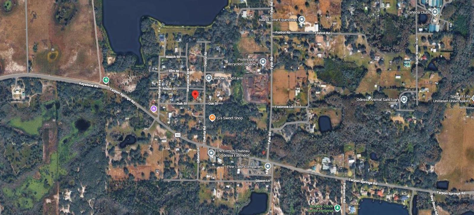 00 OAK, ODESSA, FL, 33556