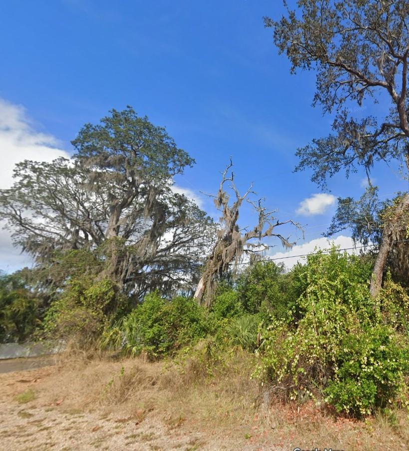 00 OAK, ODESSA, FL, 33556