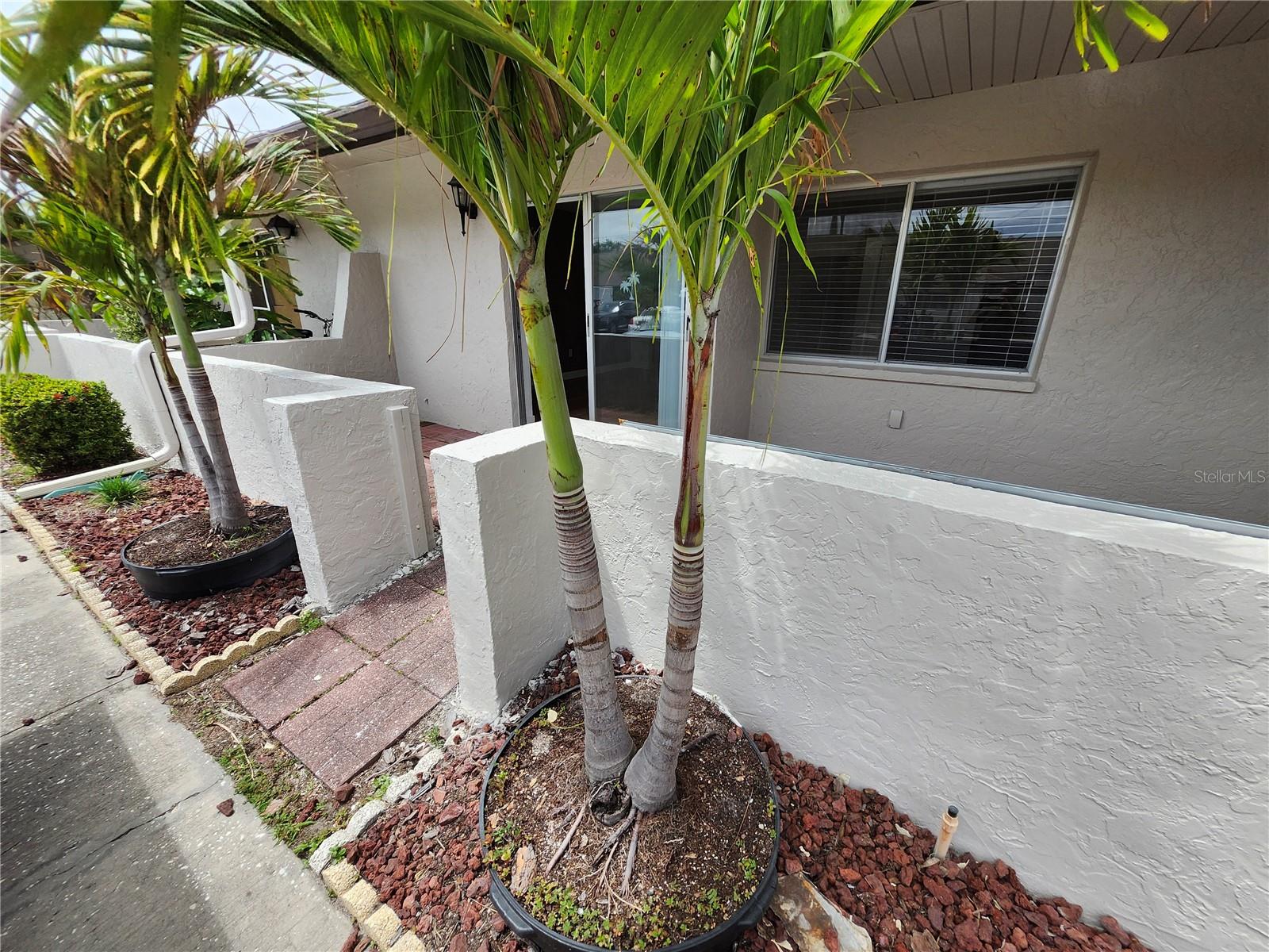 1513 16TH CIR SE #43, LARGO, FL, 33771