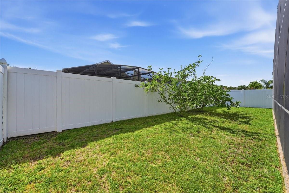 3216 BAYFLOWER AVE, HARMONY, FL, 34773