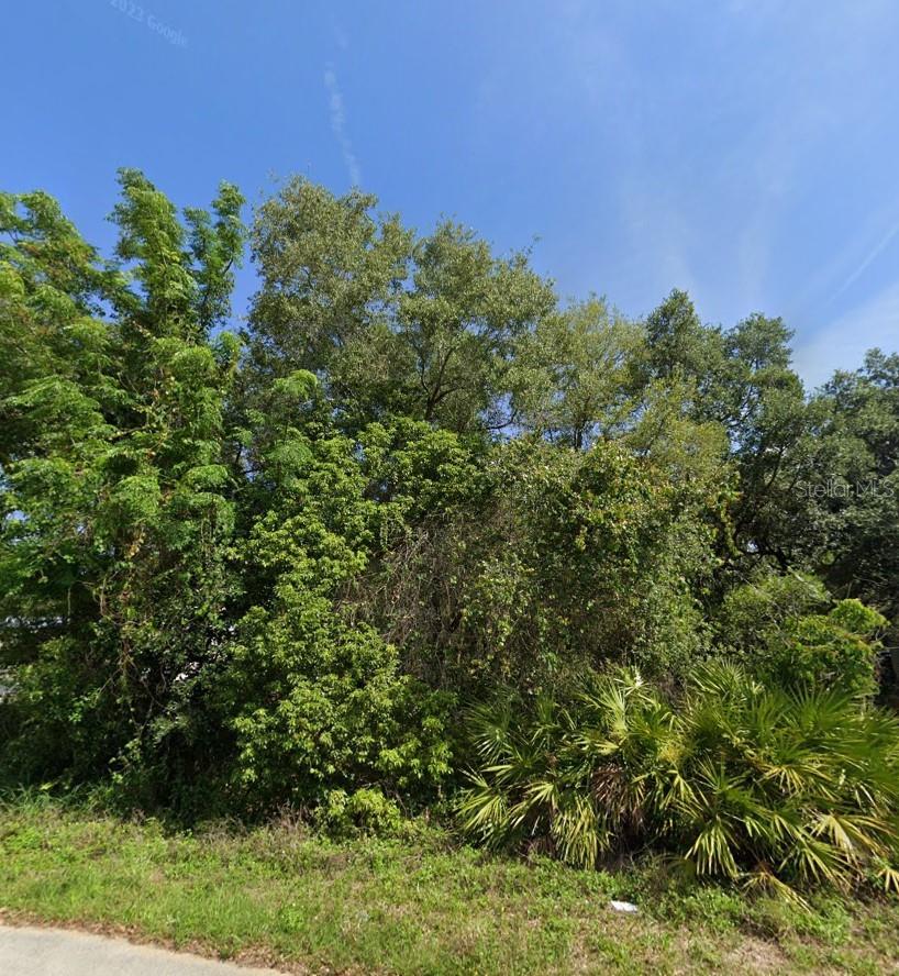 2521 CATFISH CT, LAKE WALES, FL, 33898