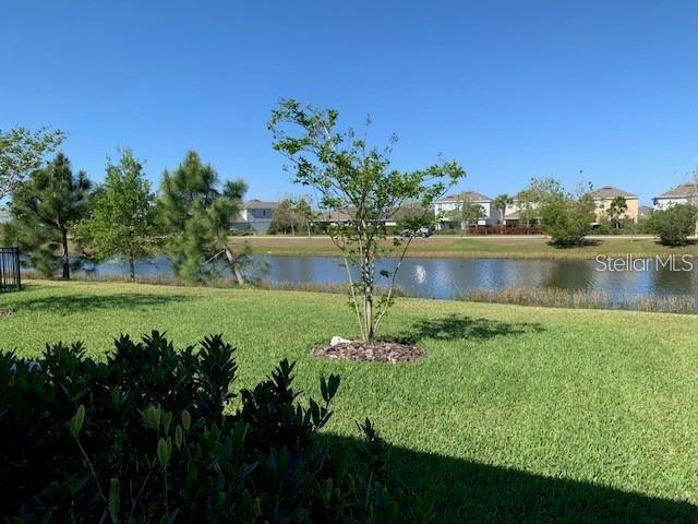 6234 COLMAR PLACE, APOLLO BEACH, FL, 33572