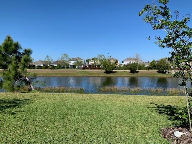 6234 COLMAR PLACE, APOLLO BEACH, FL, 33572