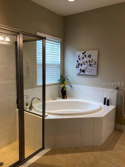 6234 COLMAR PLACE, APOLLO BEACH, FL, 33572