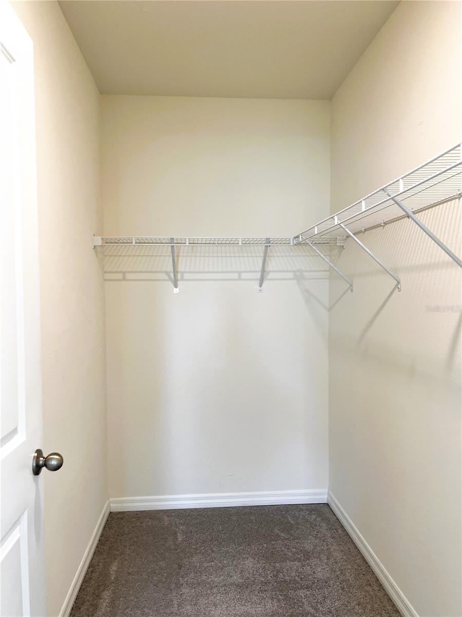 16034 SOFT FERN TRCE, ODESSA, FL, 33556