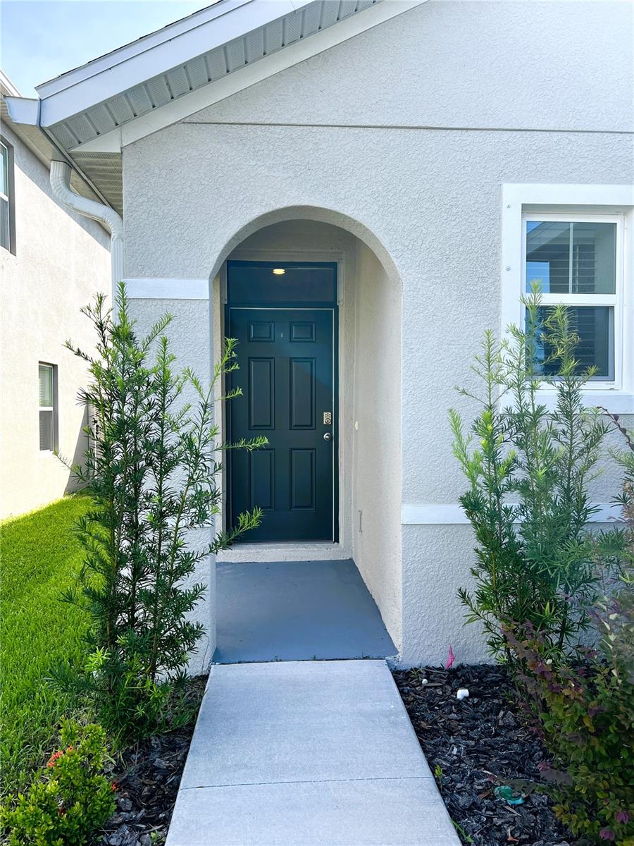 16034 SOFT FERN TRCE, ODESSA, FL, 33556
