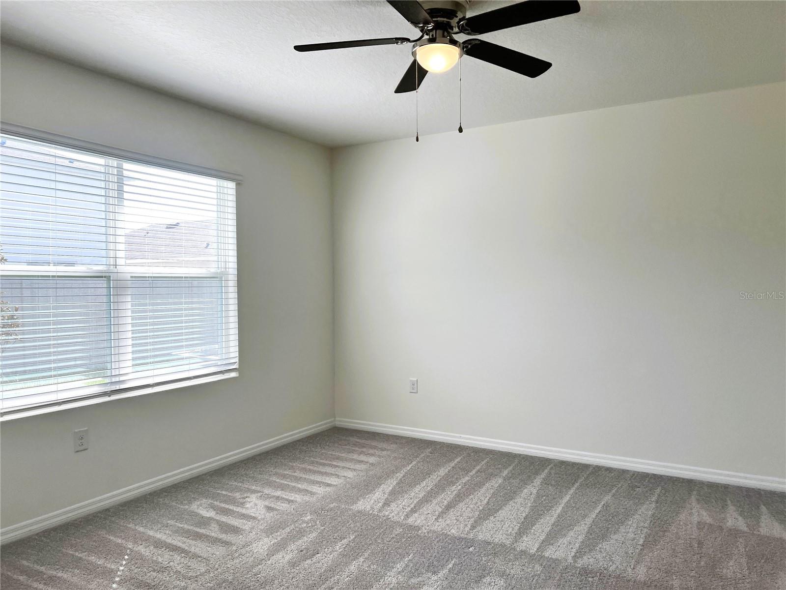 16034 SOFT FERN TRCE, ODESSA, FL, 33556