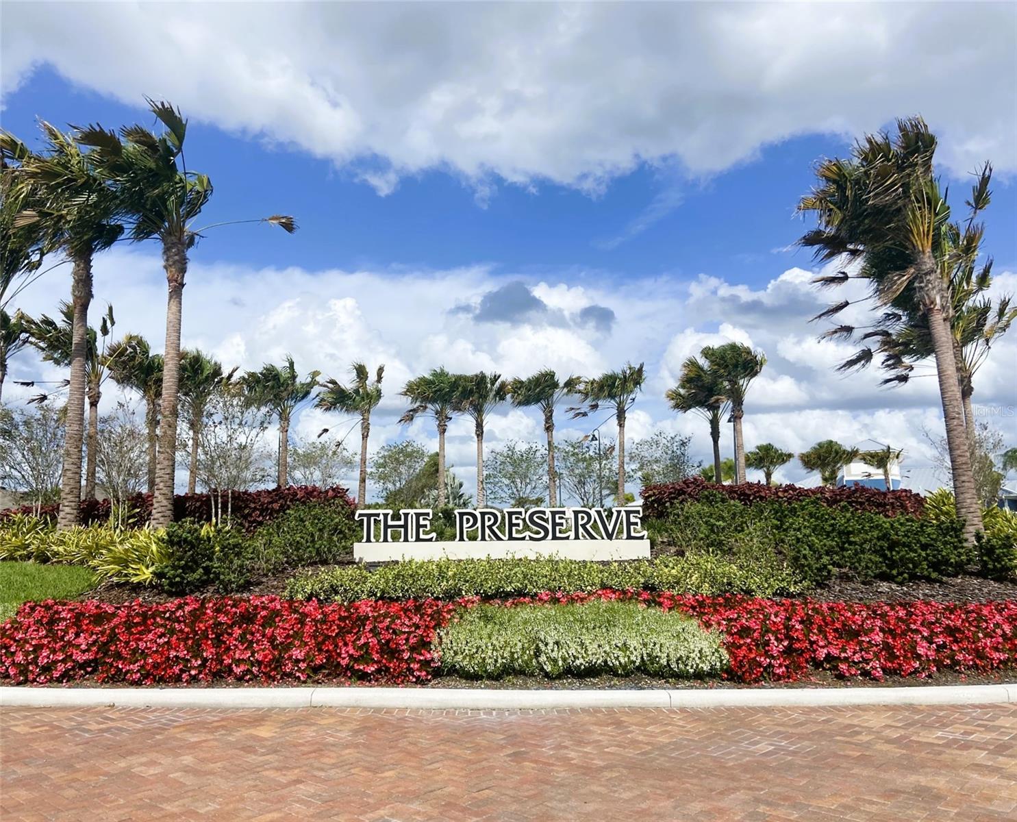 16034 SOFT FERN TRCE, ODESSA, FL, 33556