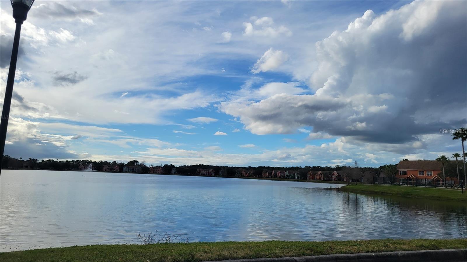 10562 WINDSOR LAKE CT #10562, TAMPA, FL, 33626