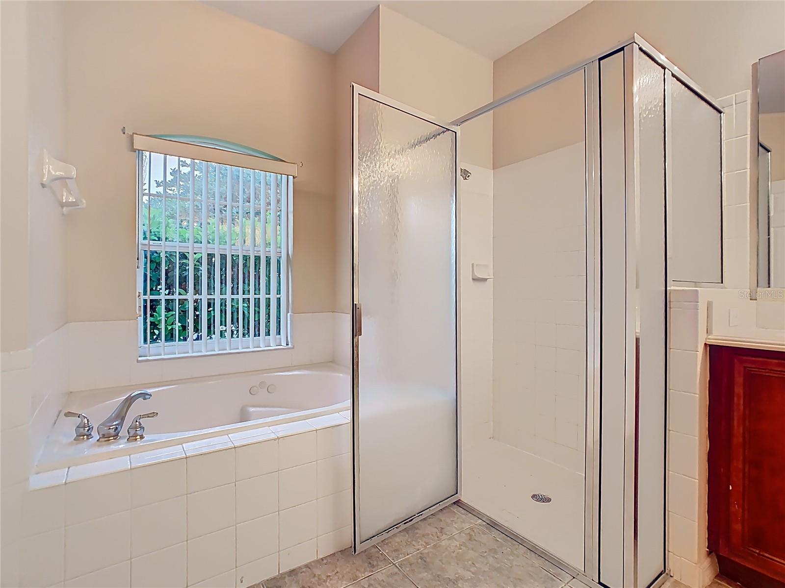 1861 WINDWARD OAKS CT, KISSIMMEE, FL, 34746
