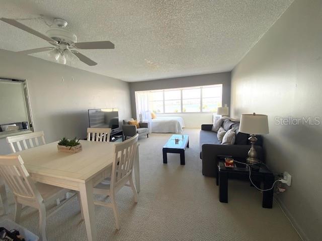 4575 COVE CIR #505, ST PETERSBURG, FL, 33708