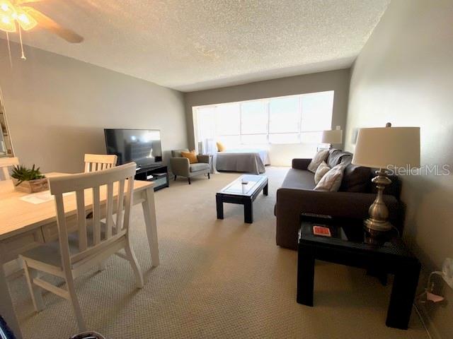 4575 COVE CIR #505, ST PETERSBURG, FL, 33708