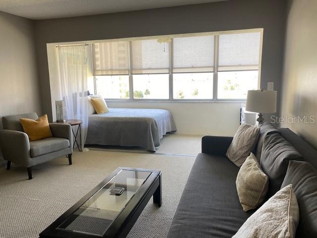 4575 COVE CIR #505, ST PETERSBURG, FL, 33708