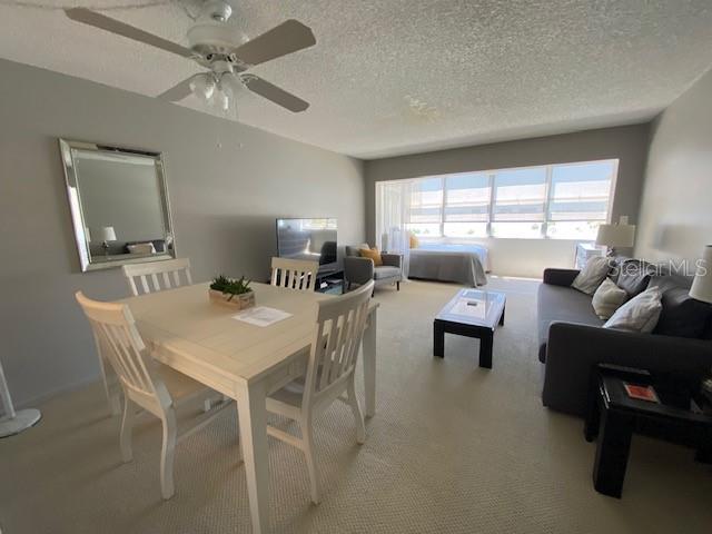 4575 COVE CIR #505, ST PETERSBURG, FL, 33708