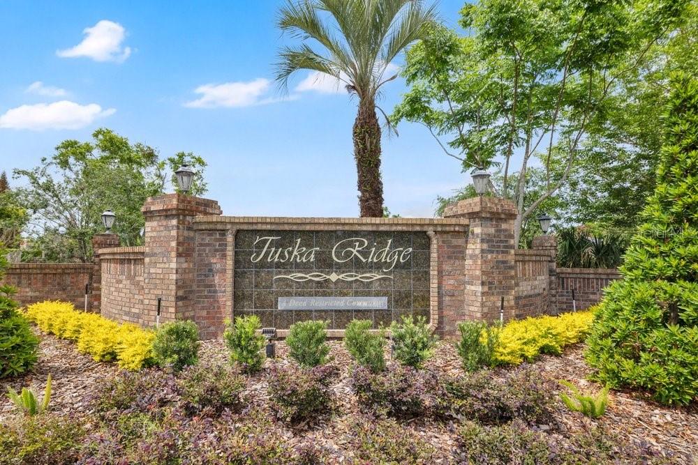 2405 BLOSSOMWOOD DR, OVIEDO, FL, 32765