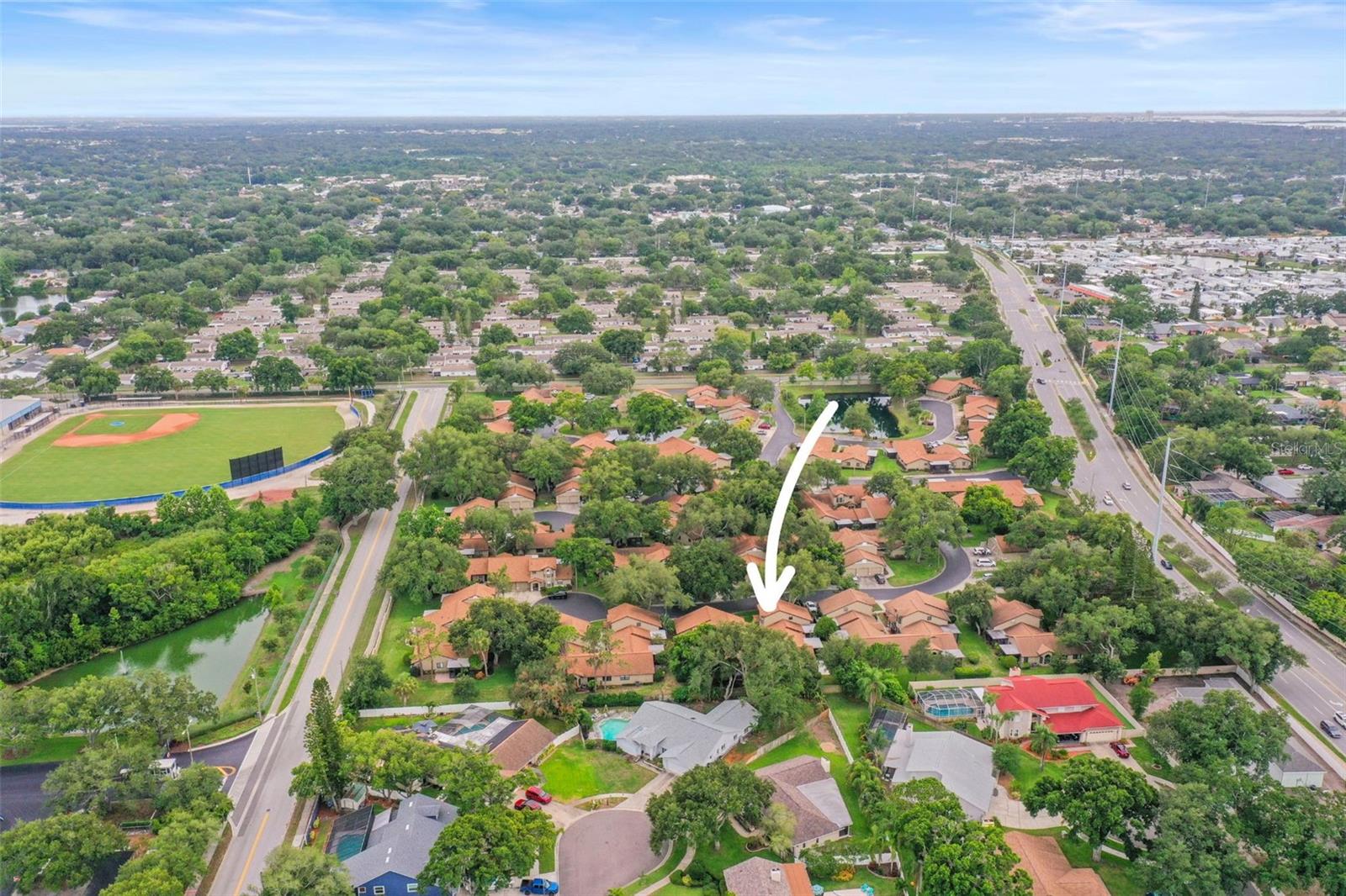 1668 HAMILTON CT #2061, DUNEDIN, FL, 34698